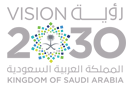 saib vision